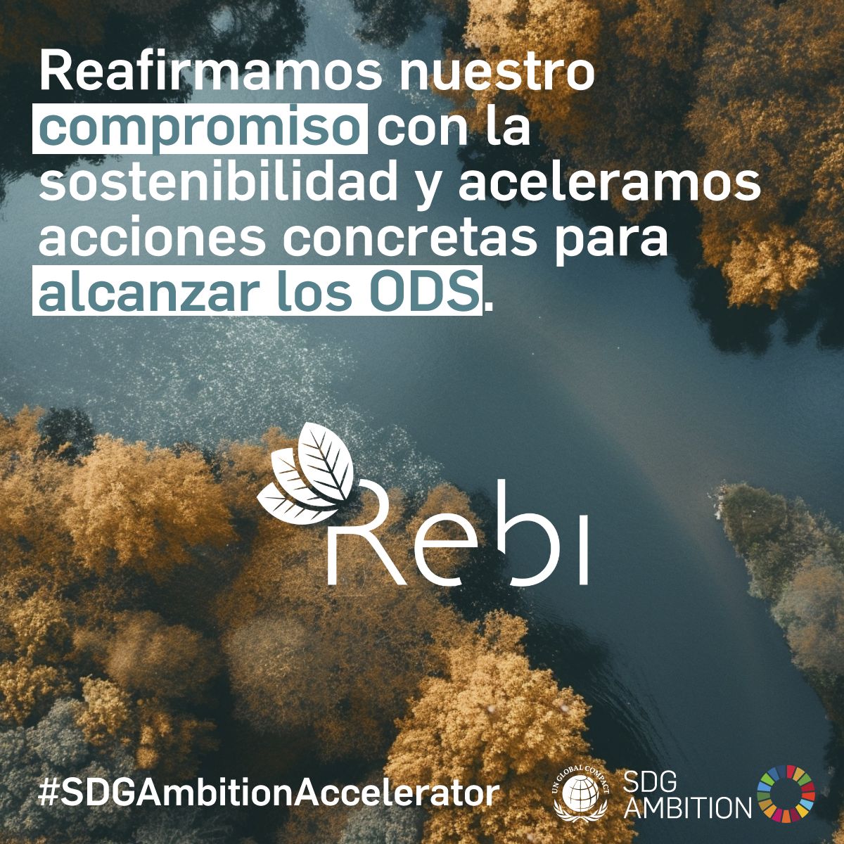 Rebi participa en el programa SDG Ambition del Pacto Mundial de la ONU para avanzar en los Objetivos de Desarrollo Sostenible