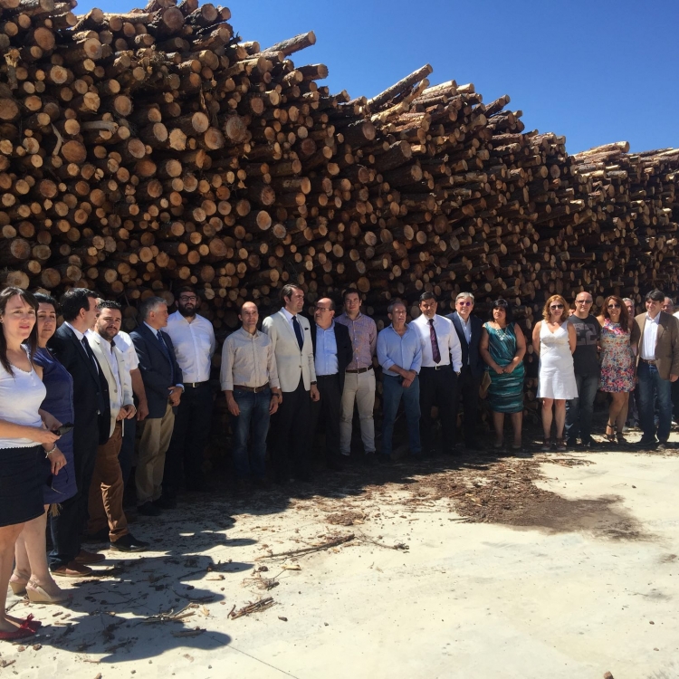REBI SLU: El consejero de Medio Ambiente visita la planta de astillado que construye Centrales de Calor con Biomasa de Soria en Mombeltrán (Ávila)